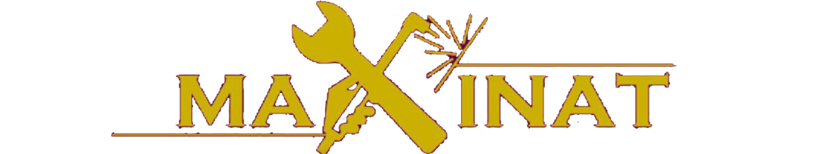 Maxinat logo